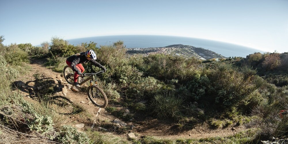 E-Bikes